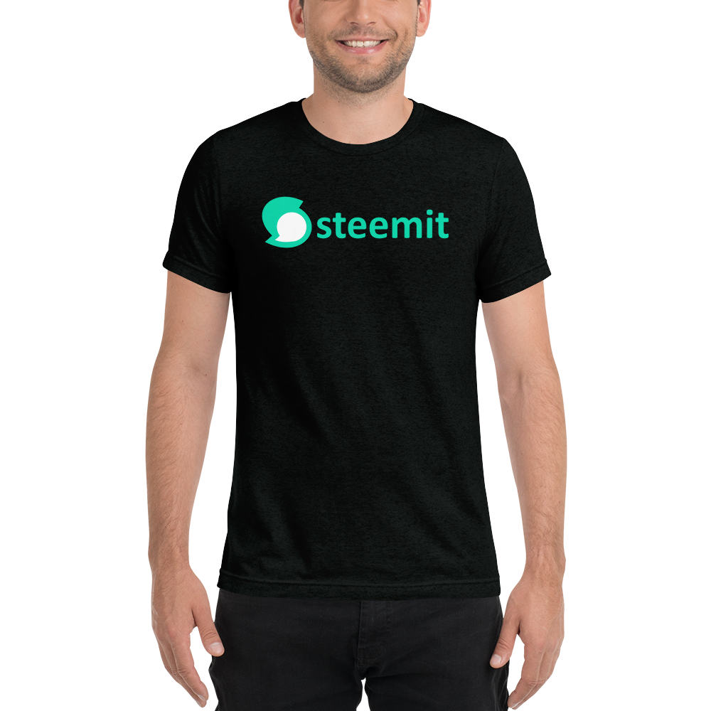 Steemit – Men’s Tri-Blend T-Shirt TCP1607 Solid Black Triblend / S Official Crypto  Merch