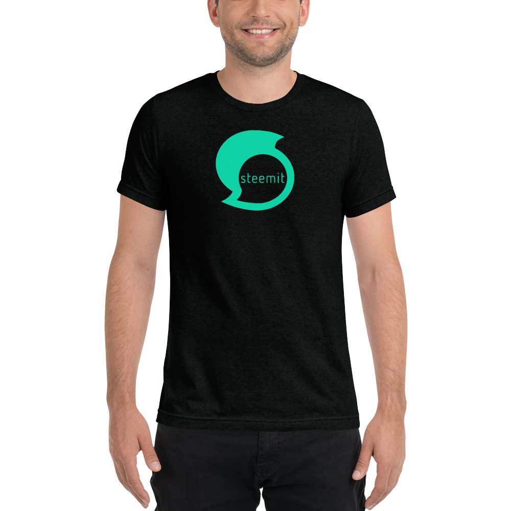 Solid Black Triblend / M Official Crypto  Merch